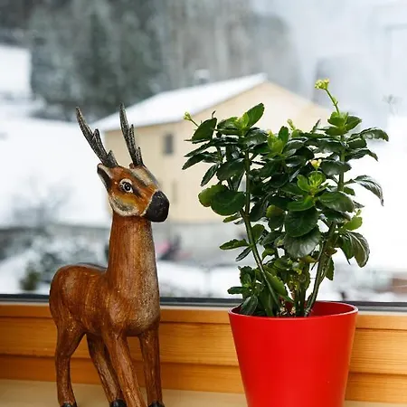 Guest house Haus Theresia Mellau