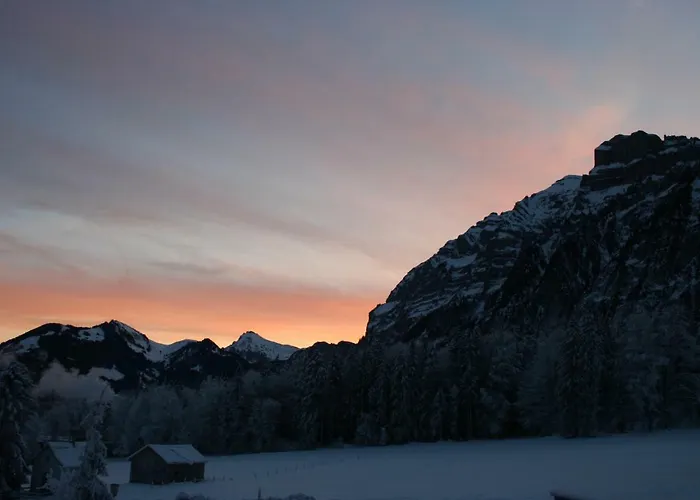 Guest house Haus Theresia 3*